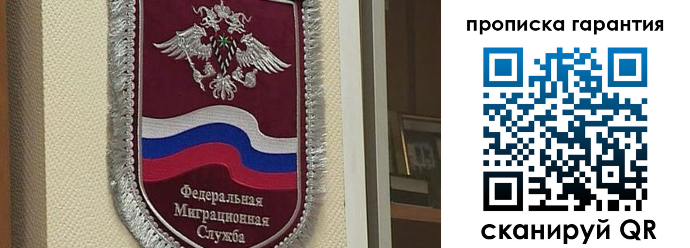 прописка в Ермолино